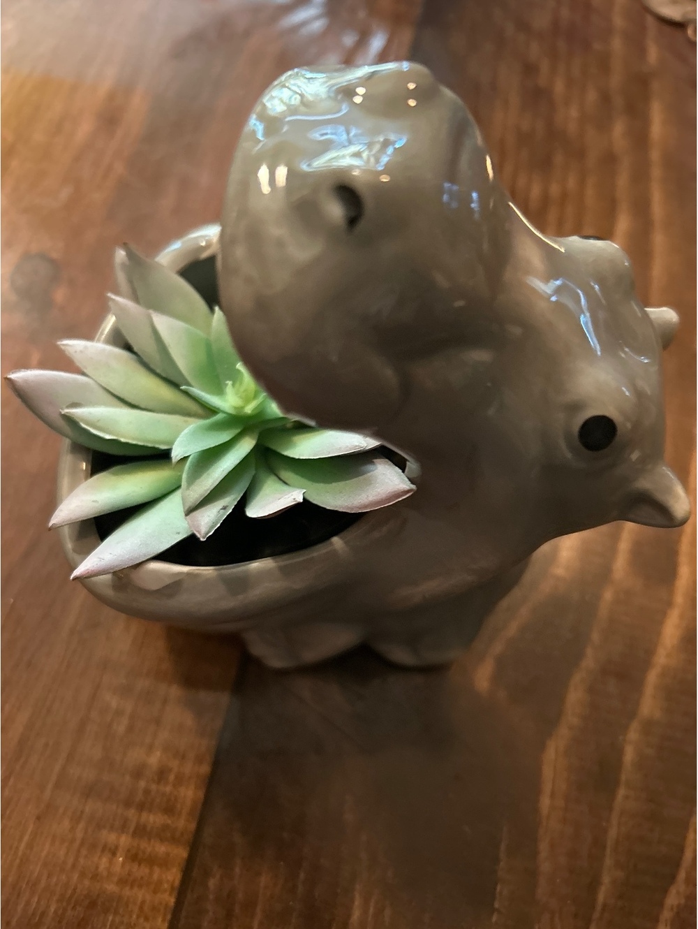 Boston Warehouse Trading Corp. Ceramic Hippopotamus Planter with Faux Succulent